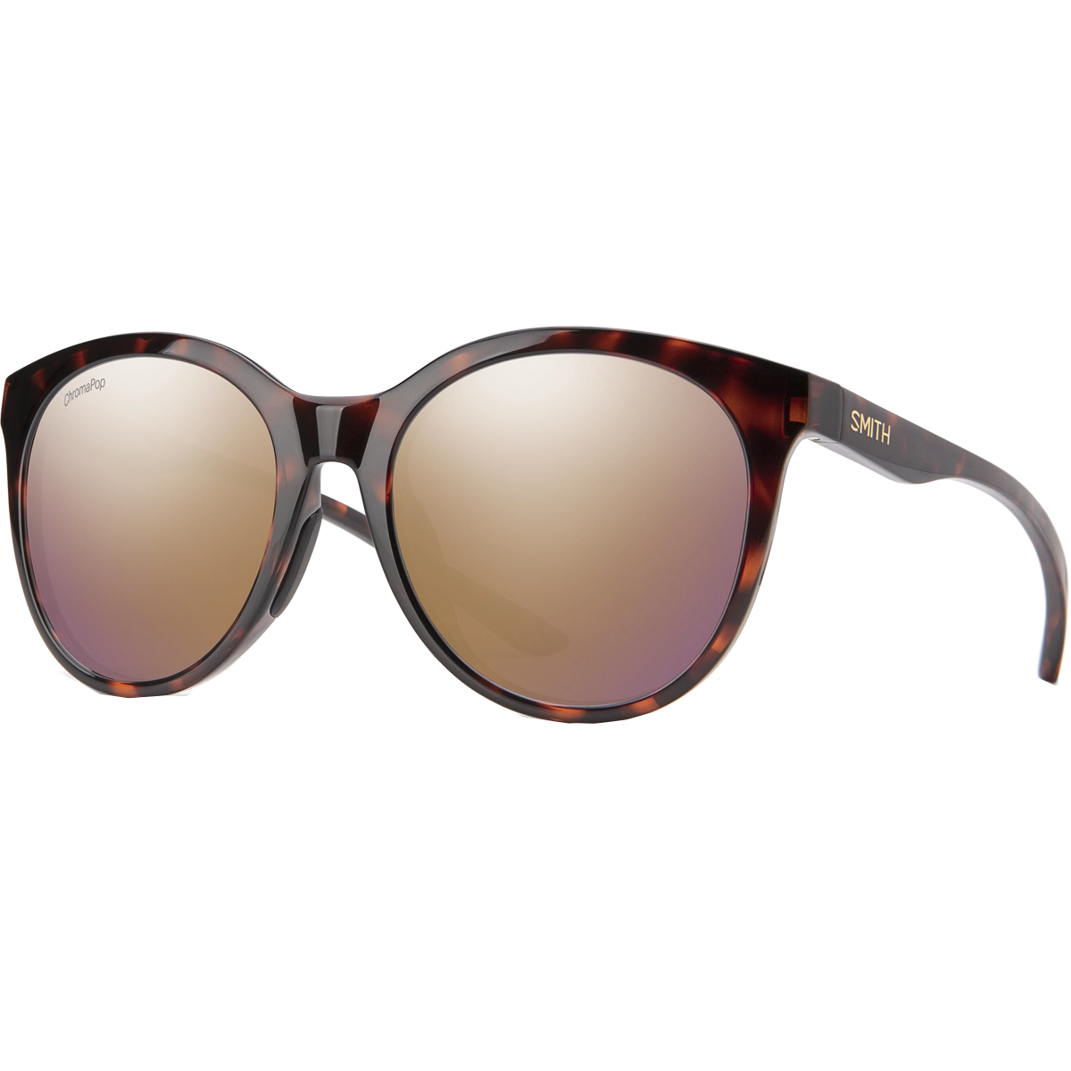 Bayside Polarized