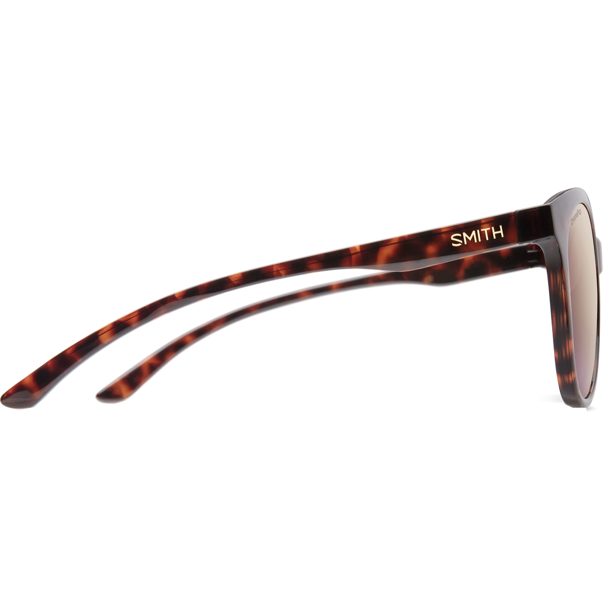 Bayside Polarized