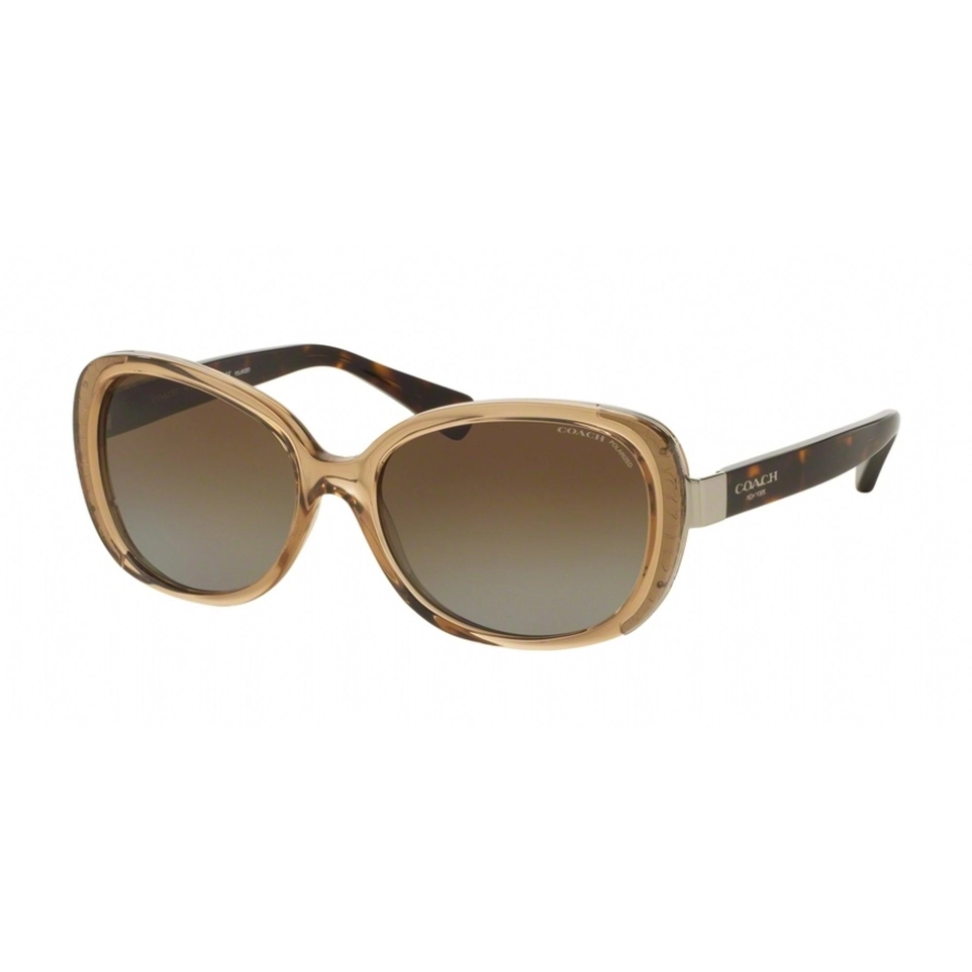 Coach Women's Sunglasses - Full Rim Butterfly Shape Plastic Frame | 0HC8172 5369T556