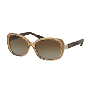 Coach Women's Sunglasses - Full Rim Butterfly Shape Plastic Frame | 0HC8172 5369T556