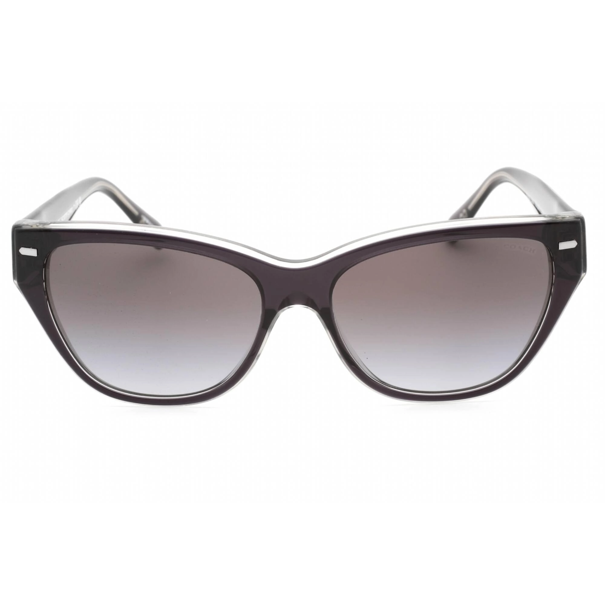 Coach Women's Sunglasses - Transparent Dark Grey Plastic Full Rim | 0HC8370F 57458G