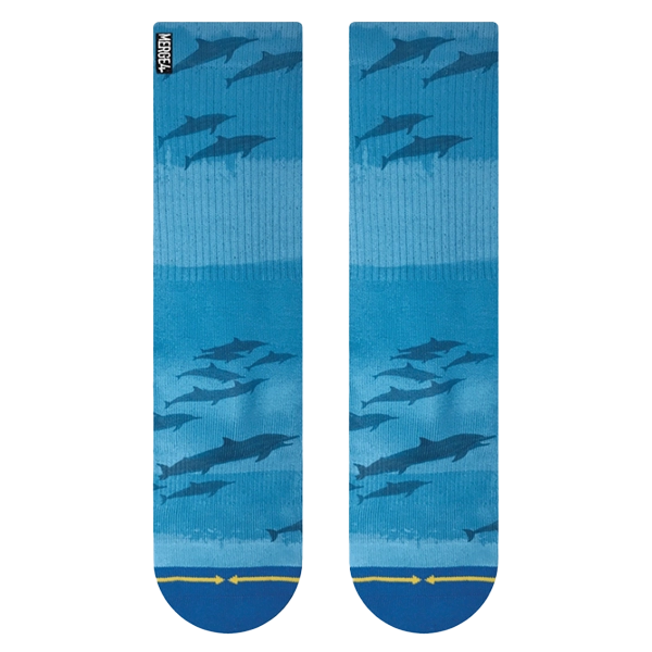 Dave Nelson Dolphins
