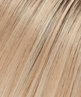 January Petite Wig by Jon Renau | Synthetic Lace Front (Mono Top)