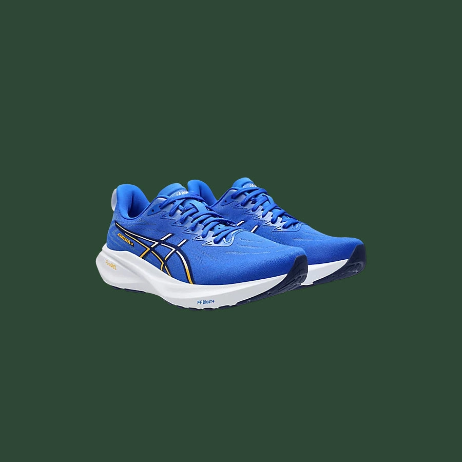 Men's Asics GT-2000 v13