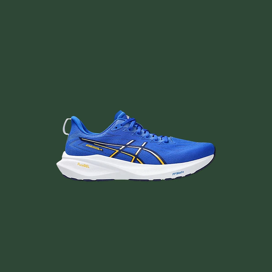 Men's Asics GT-2000 v13