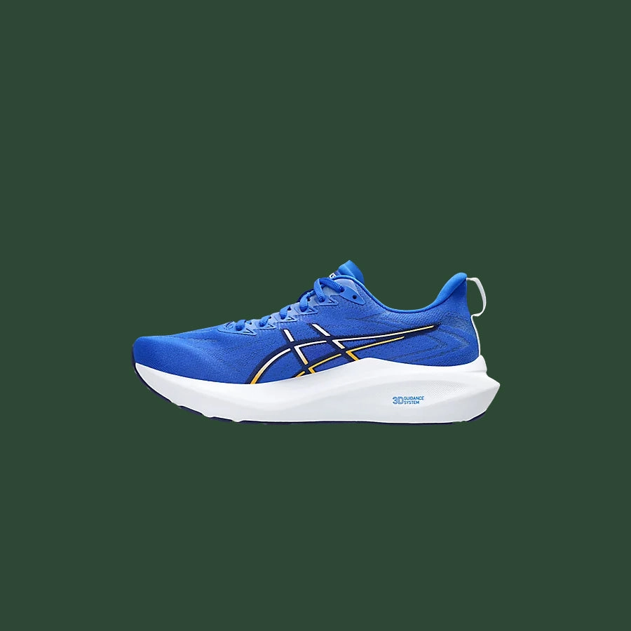 Men's Asics GT-2000 v13