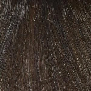 Petite Nadia Wig by Envy | Synthetic (Mono Part)