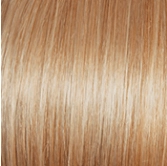 Voltage Large Wig by Raquel Welch | Synthetic (Basic Cap)