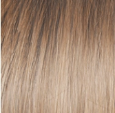 Voltage Large Wig by Raquel Welch | Synthetic (Basic Cap)